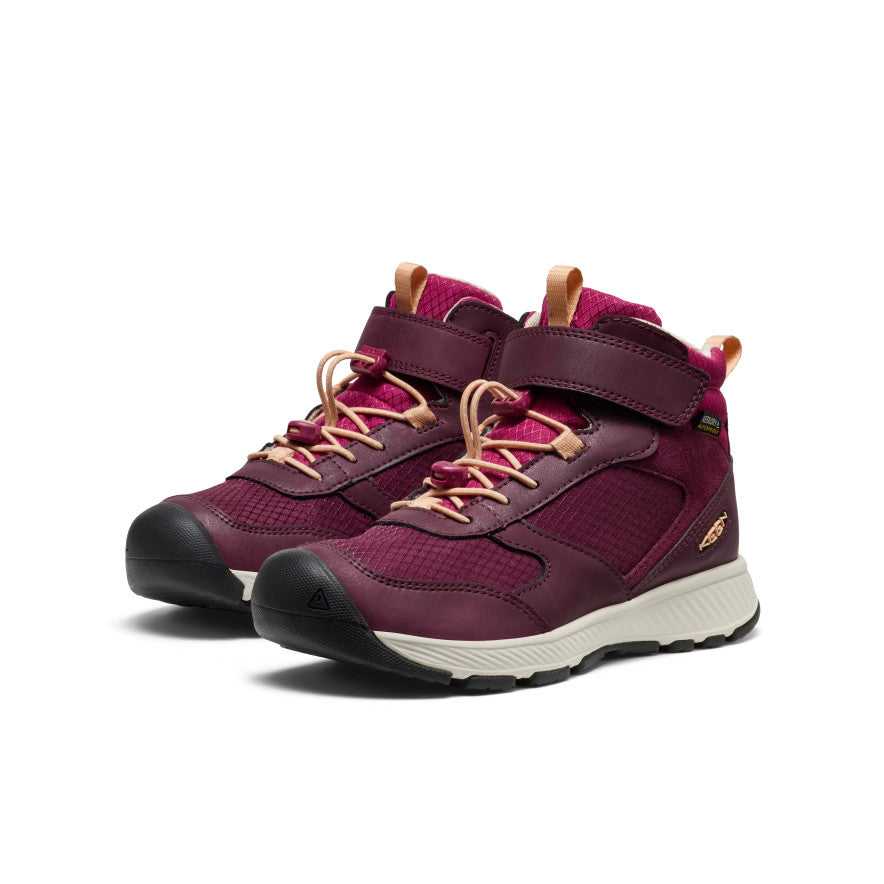 Big Kids' Skua Waterproof Boot Fig/Peach Fuzz | Keen
