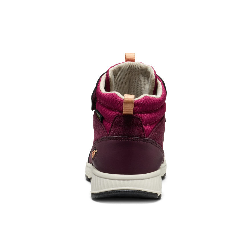 Big Kids' Skua Waterproof Boot Fig/Peach Fuzz | Keen