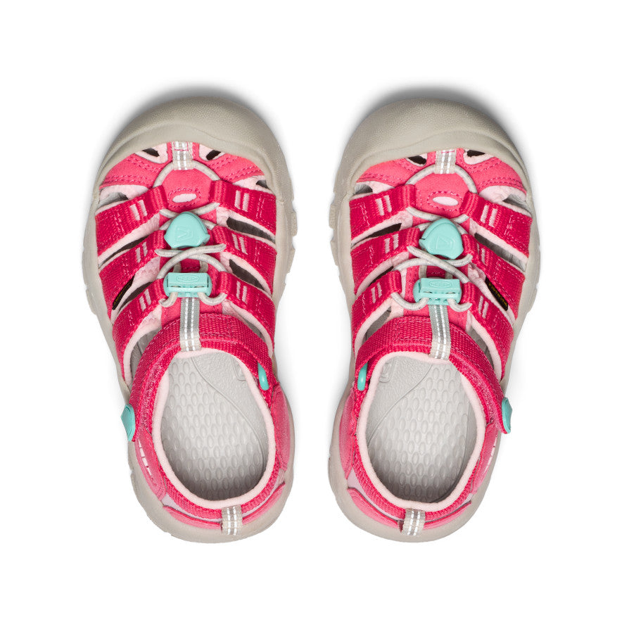 Little Kids' Newport H2 Raspberry/Giggle Pink | Keen