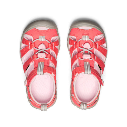 Little Kids' Seacamp II CNX Dubarry/Giggle Pink | Keen