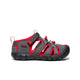Magnet/Red Carpet