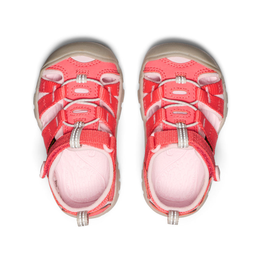 Toddlers' Seacamp II CNX Dubarry/Giggle Pink | Keen